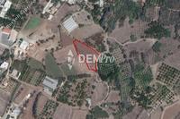 2435 SQM Land in Agia Marina Chrysochous (Paphos) for sale 