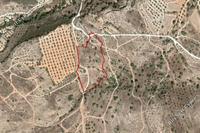 4905 SQM Land · Paphos Municipality (Paphos) for sale 