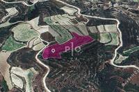 10257 SQM Land · Koilani (Limassol) for sale 