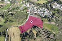 11037 SQM Land · Kritou Marottou (Paphos) for sale 