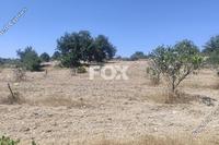 8396 SQM Land in Anogyra (Limassol) for sale 