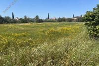 4032 SQM Land · Dali (Nicosia) for sale 