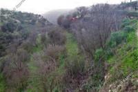 3679 SQM Land in Kallepeia (Paphos) for sale 