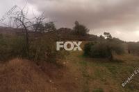 6709 SQM Land in Pyrgos Limassol (Limassol) for sale 