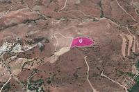 12710 SQM Land in Episkopi Pafou (Paphos) for sale 