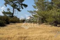 14382 SQM Land · Souni Zanakia (Limassol) for sale 