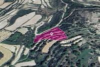4785 SQM Land in Koili (Paphos) for sale 
