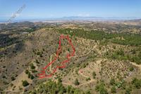 13713 SQM Land in Xyliatos (Nicosia) for sale 