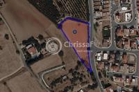4458 SQM Land in Kolossi (Limassol) for sale 