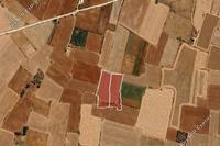 15311 SQM Land · Avgorou (Famagusta) for sale 