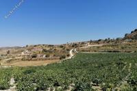 7024 SQM Land · Pachna (Limassol) for sale 