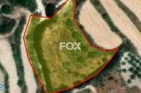 6021 SQM Land in Stroumbi (Paphos) for sale 