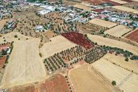 3345 SQM Land · Astromeritis (Nicosia) for sale 