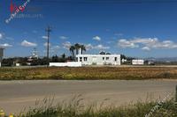 1300 SQM Plot · Agioi Trimithias (Nicosia) for sale 