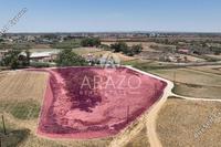 8750 SQM Land in Avgorou (Famagusta) for sale 