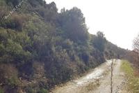 10368 SQM Land · Pachna (Limassol) for sale 