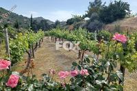 8383 SQM Land in Kellaki (Limassol) for sale 