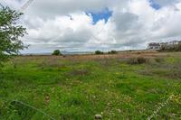 12041 SQM Land in Kathikas (Paphos) for sale 