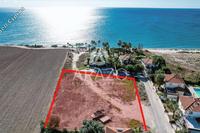2820 SQM Land in Mazotos (Larnaca) for sale 