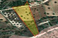 8502 SQM Land · Psevdas (Larnaca) for sale 
