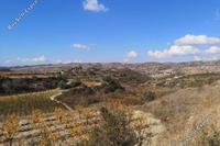 10368 SQM Land · Pachna (Limassol) for sale 