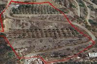 8027 SQM Land in Prastio Kellakiou (Limassol) for sale 