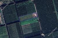 9999 SQM Land in Kolossi (Limassol) for sale 