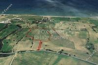 28400 SQM Land in Agios Theodoros Larnacas (Larnaca) for sale 