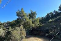 1747 SQM Land · Lythrodontas (Nicosia) for sale 
