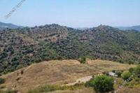 3011 SQM Land in Dora (Limassol) for sale 
