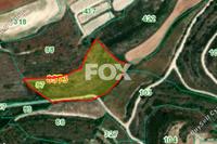 7693 SQM Land in Kathikas (Paphos) for sale 