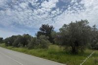 25438 SQM Land · Kornos (Larnaca) for sale 
