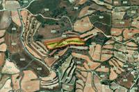 7024 SQM Land in Polemi (Paphos) for sale 