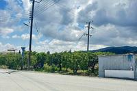309 SQM Plot in Eptagoneia (Limassol) for sale 