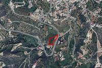 6010 SQM Land in Peristerona Pafou (Paphos) for sale 