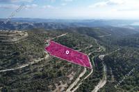 29430 SQM Land · Laneia (Limassol) for sale 