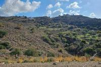 22743 SQM Land in Peyia (Paphos) for sale 
