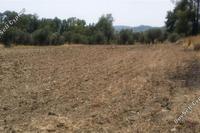 3130 SQM Land in Lythrodontas (Nicosia) for sale 