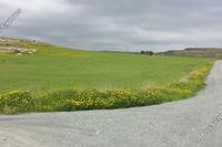 14288 SQM Land in Anarita (Paphos) for sale 
