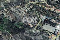 19641 SQM Land in Agros (Limassol) for sale 
