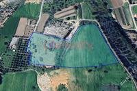 21147 SQM Land · Erimi (Limassol) for sale 