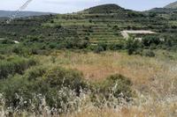 5686 SQM Land · Pachna (Limassol) for sale 