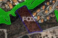 6987 SQM Land · Tala (Paphos) for sale 