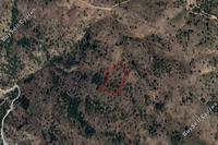 3345 SQM Land in Pedoulas (Nicosia) for sale 