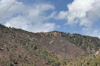 6820 SQM Land · Agioi Vavatsinias (Larnaca) for sale 