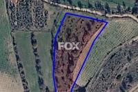 4591 SQM Land in Letymvou (Paphos) for sale 