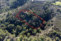 6689 SQM Land in Mousere (Paphos) for sale 