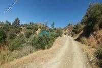 59205 SQM Land · Ora (Larnaca) for sale 