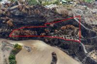 7024 SQM Land · Drimou (Paphos) for sale 