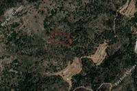 5017 SQM Land in Farmakas (Nicosia) for sale 
